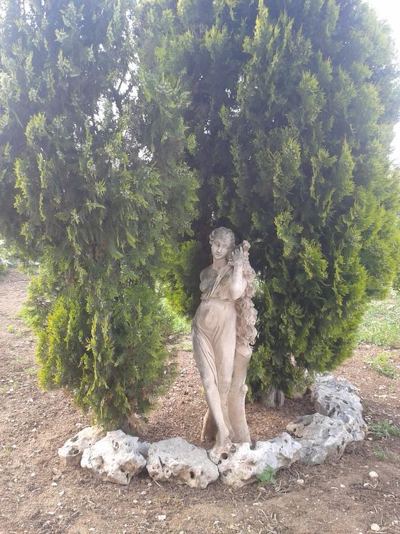 Simpson - Aeroporto Di Bari - Affittacamere Bagian luar foto